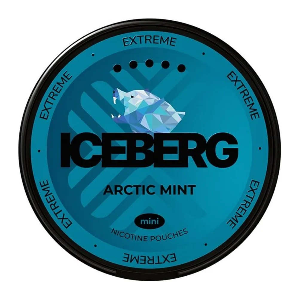 ICEBERG Arctic Mint Mini 20 mg