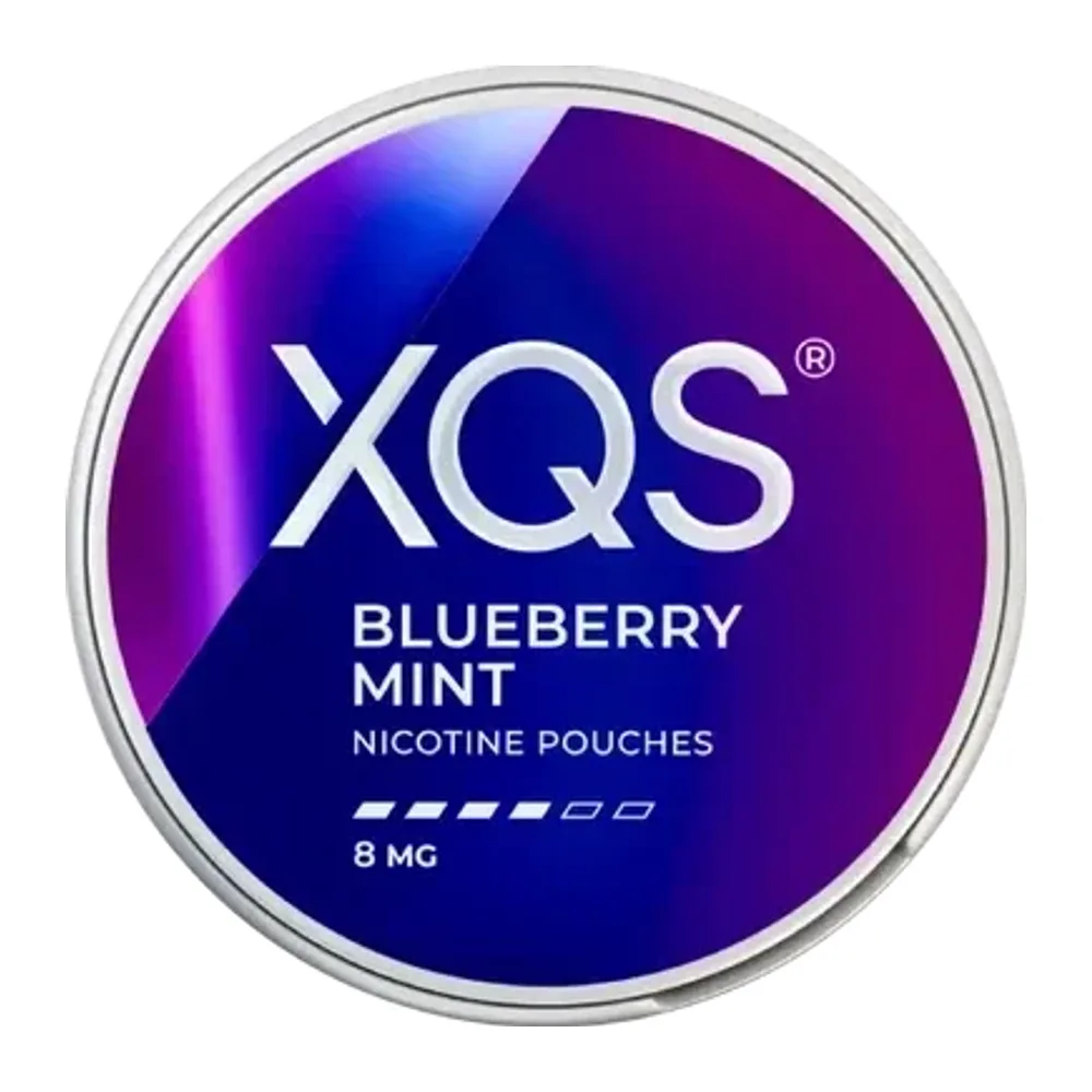 XQS Blueberry Mint 8 mg