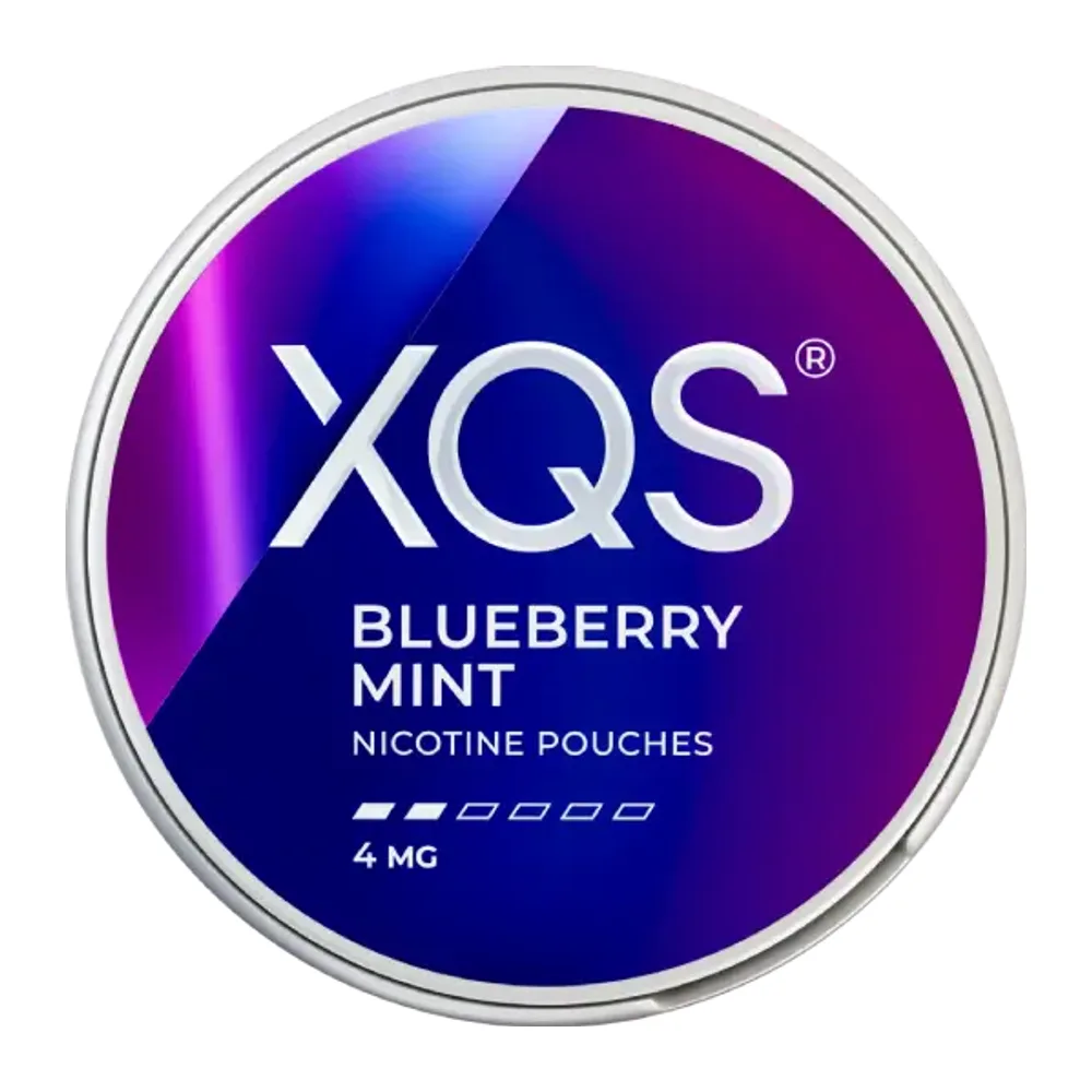 XQS Blueberry Mint Light 4 mg